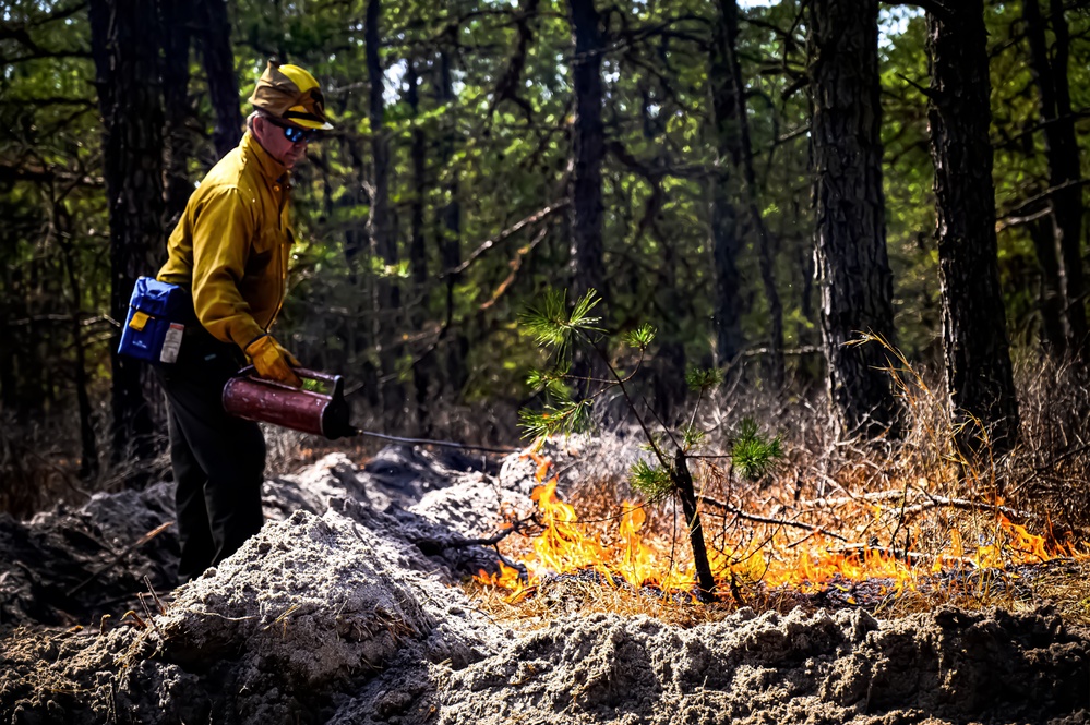 JB MDL partnership protects the Pinelands with new firebreak