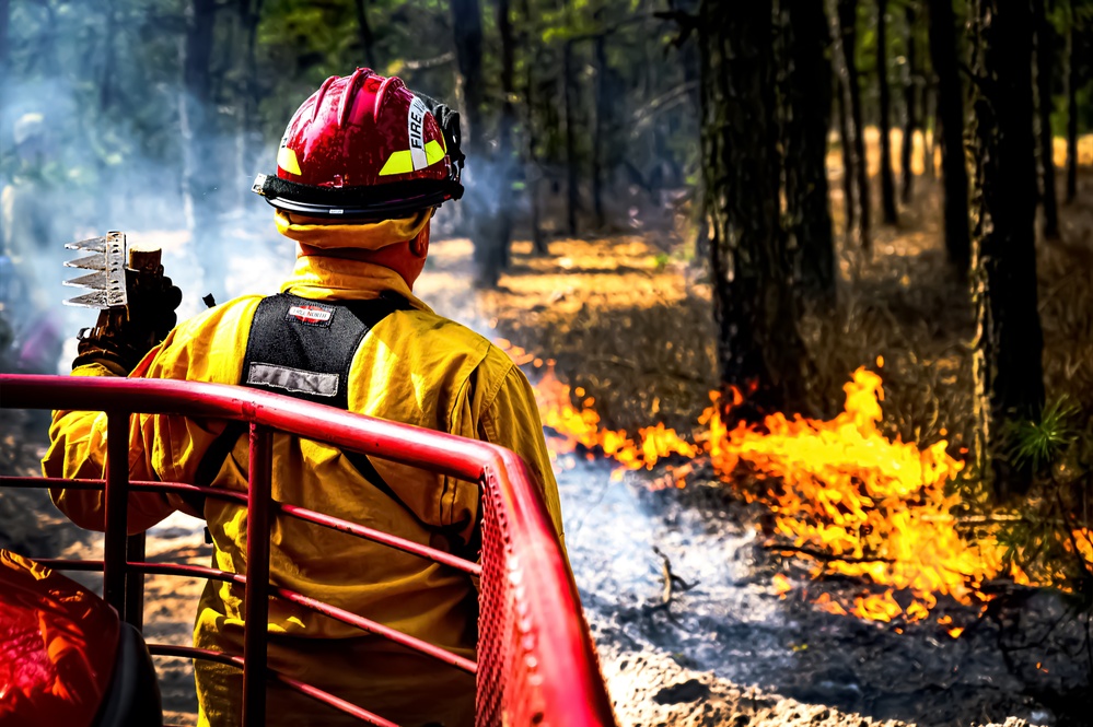 JB MDL partnership protects the Pinelands with new firebreak