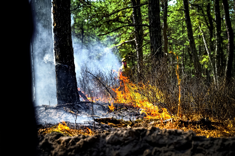 JB MDL partnership protects the Pinelands with new firebreak