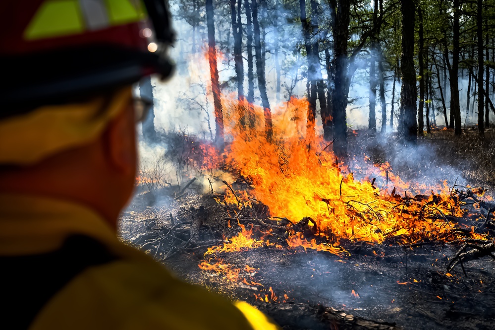 JB MDL partnership protects the Pinelands with new firebreak