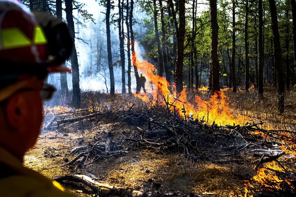 JB MDL partnership protects the Pinelands with new firebreak