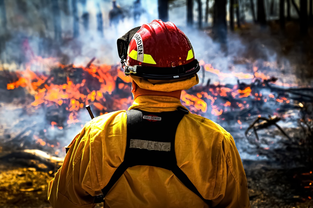 JB MDL partnership protects the Pinelands with new firebreak