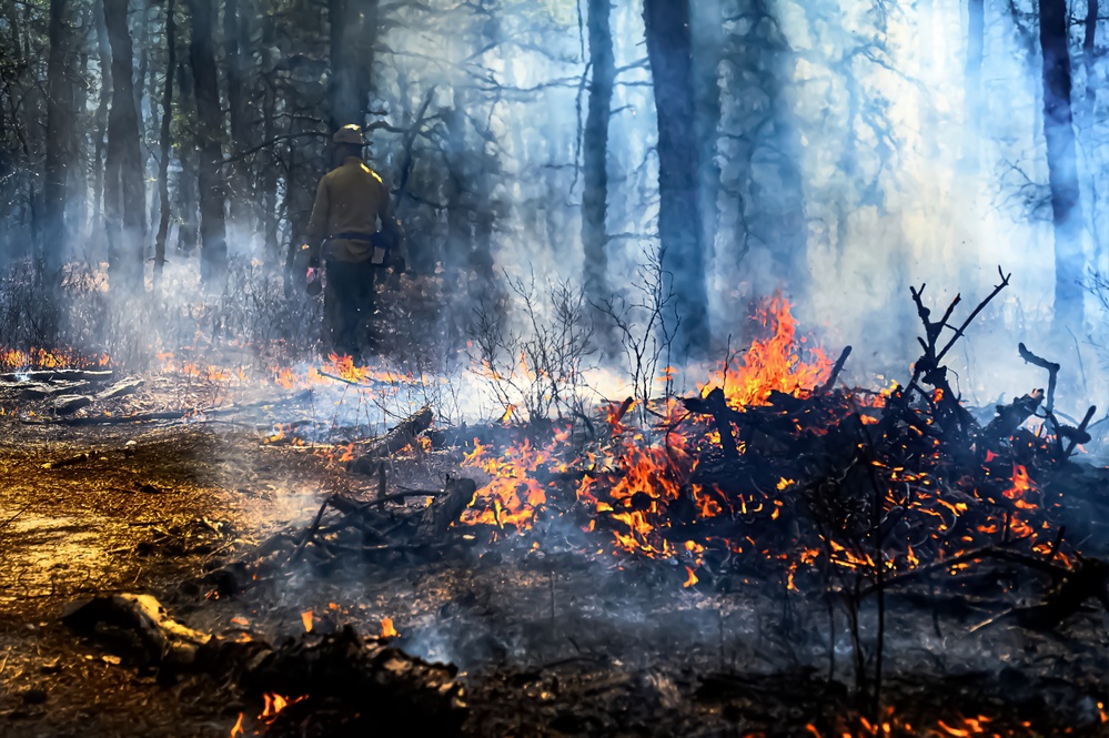 JB MDL partnership protects the Pinelands with new firebreak