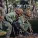 Armored units support infantry at the Joint Readiness Training Center