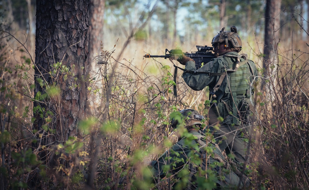 Armored units support infantry at the Joint Readiness Training Center