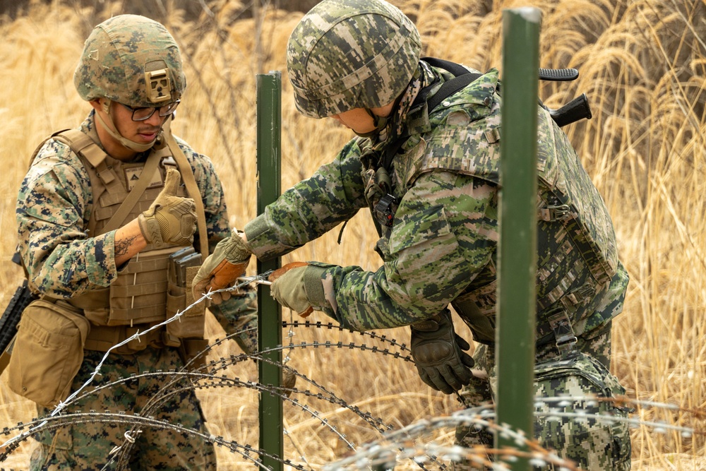 Warrior Shield 24 | U.S., ROK Marines build counter mobility obstacles