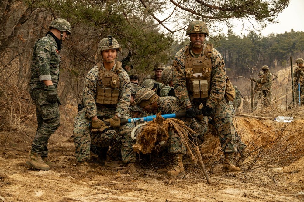 Warrior Shield 24 | U.S., ROK Marines build counter mobility obstacles