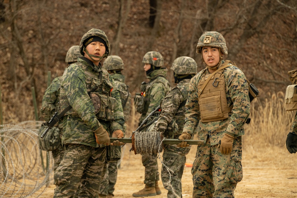 Warrior Shield 24 | U.S., ROK Marines build counter mobility obstacles
