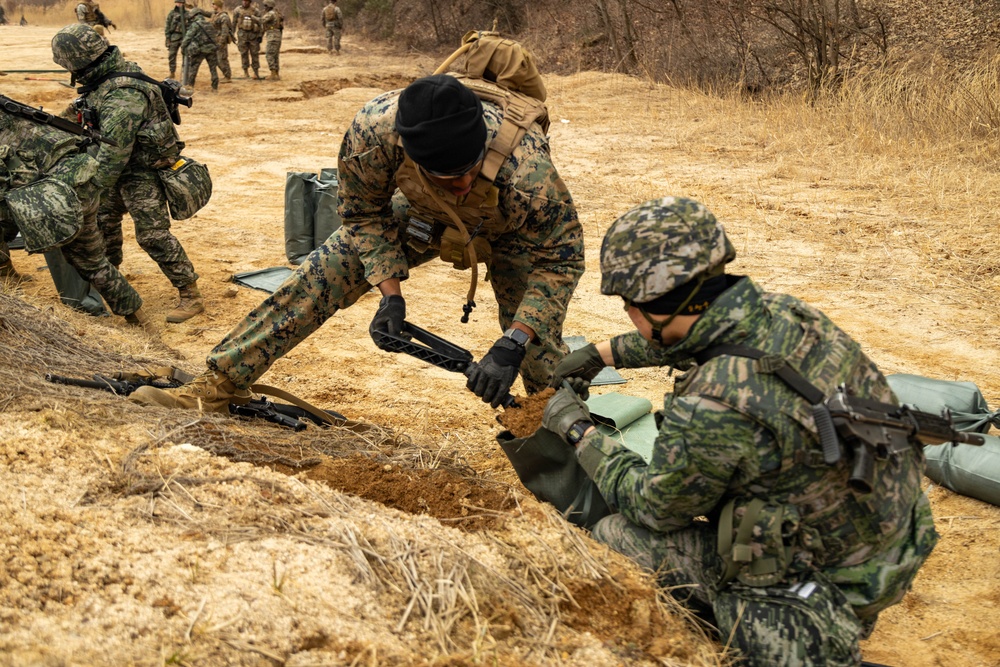 Warrior Shield 24 | U.S., ROK Marines build counter mobility obstacles