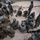 Combat Medic Field Training Exercise Combat Medic Field Training Exercise