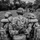 Combat Medic Field Training Exercise Combat Medic Field Training Exercise