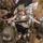 Combat Medic Field Training Exercise Combat Medic Field Training Exercise