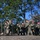 Special Forces Assessment and Selection