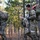 Special Forces Assessment and Selection