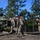 Special Forces Assessment and Selection