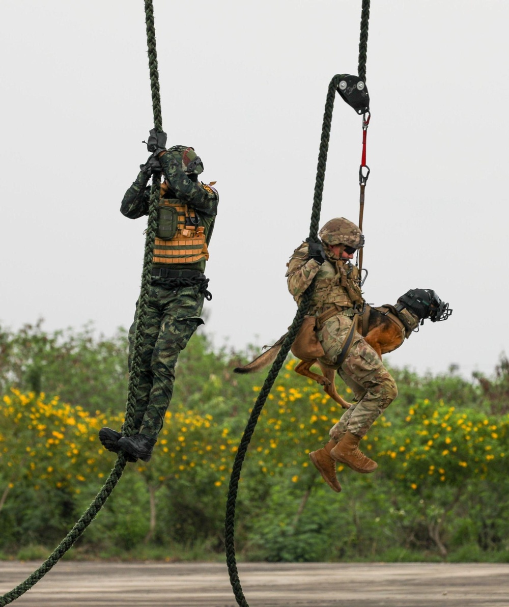 U.S. Army soldiers conduct K9 FRIES training with Thai counterparts