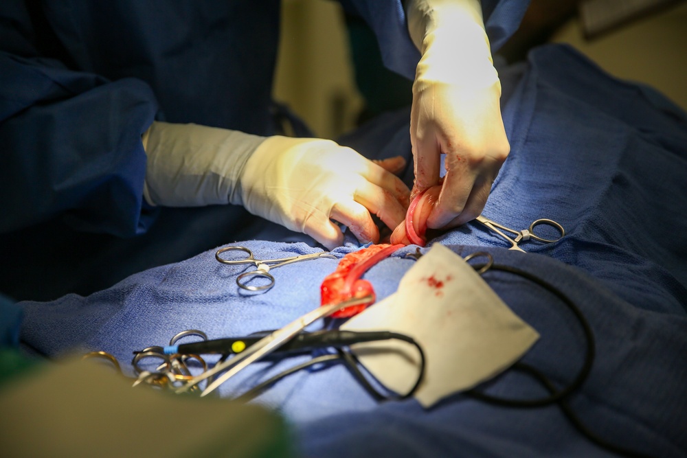 Hohenfels Veterinary Treatment Facility Surgical Procedure