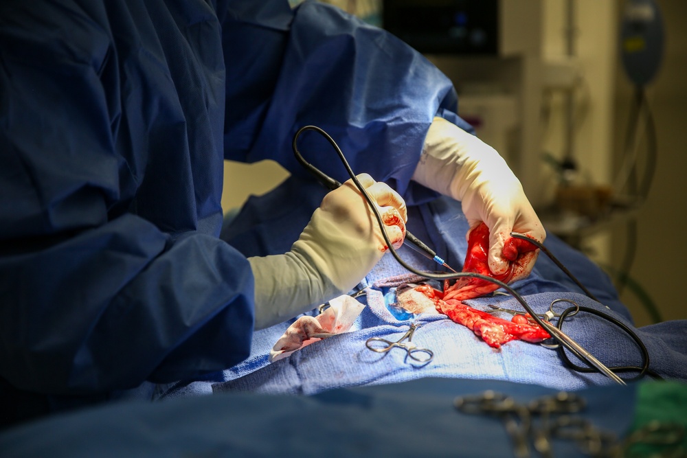 Making the Cut at the Hohenfels Veterinary Treatment Facility
