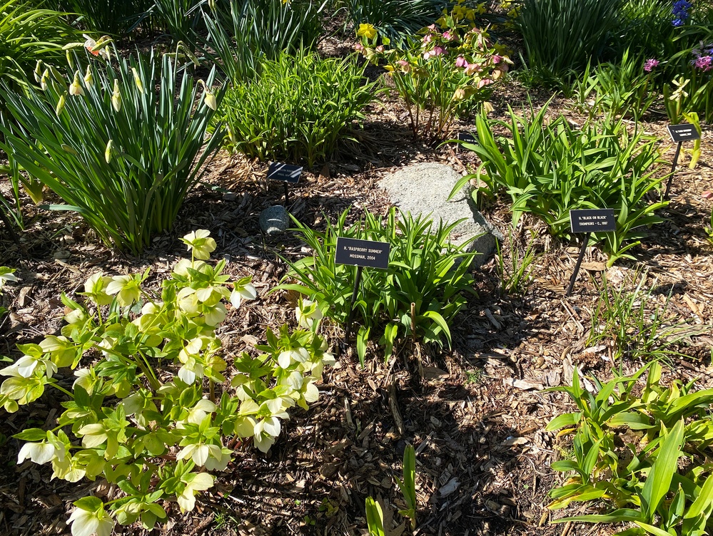 USACE Botanical Garden Earns ArbNet Level II Accreditation