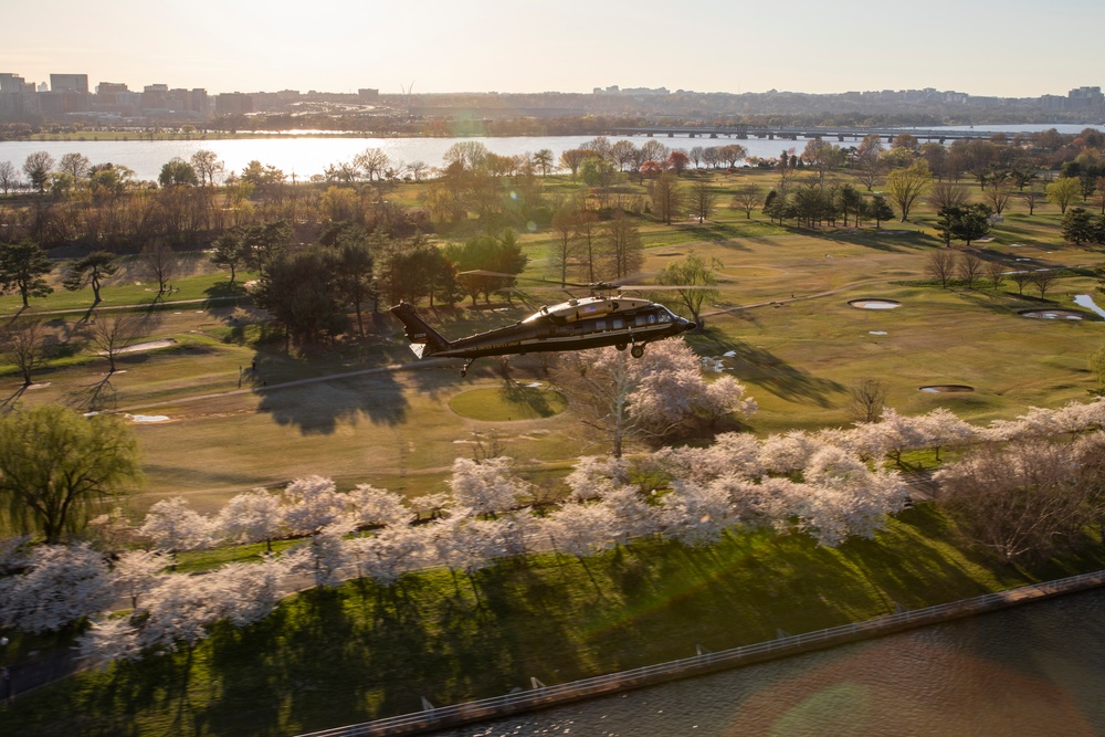 12th Aviation Battalion Flies Over Washington, D.C. Area During Peak Cherry Blossom Bloom