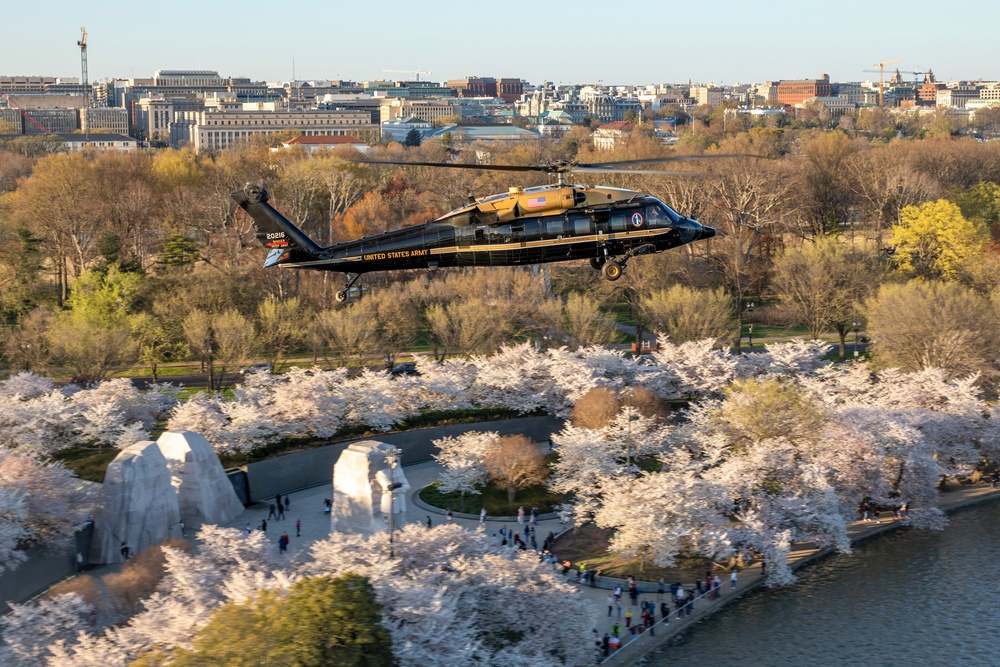 12th Aviation Battalion Flies Over Washington, D.C. Area During Peak Cherry Blossom Bloom