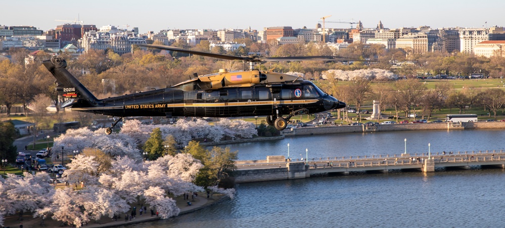 12th Aviation Battalion Flies Over Washington, D.C. Area During Peak Cherry Blossom Bloom