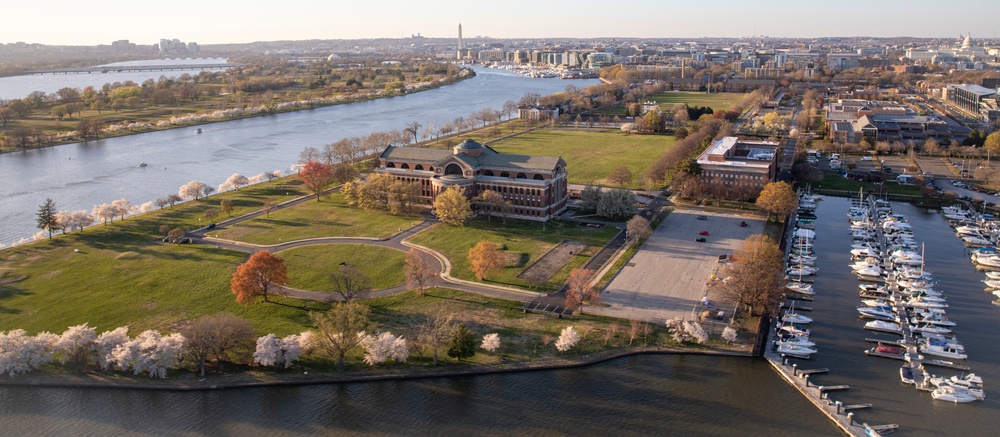 12th Aviation Battalion Flies Over Washington, D.C. Area During Peak Cherry Blossom Bloom