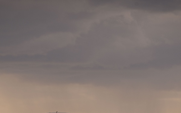 BTF 24-2: 2nd Arrival