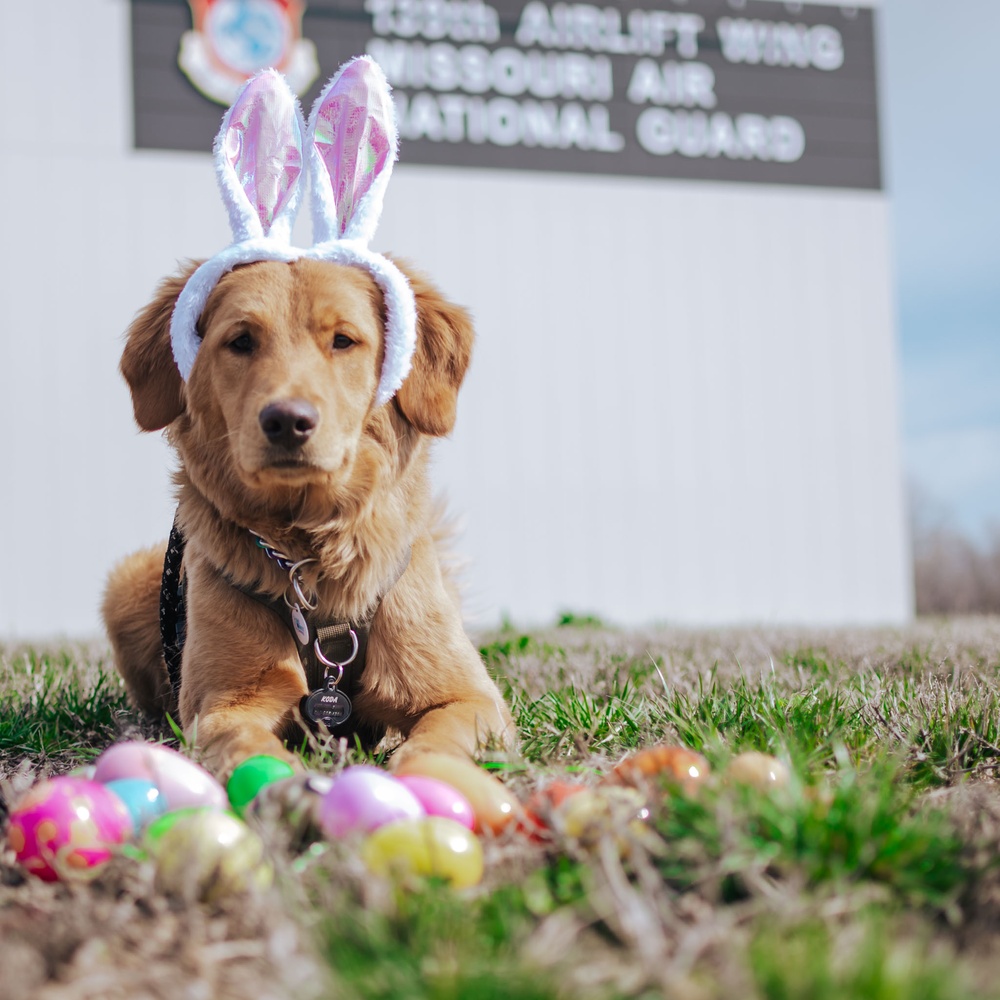 Koda gets festive for the Easter holiday