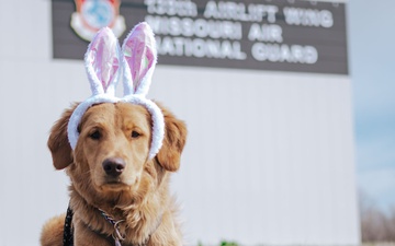 Koda gets festive for the Easter holiday