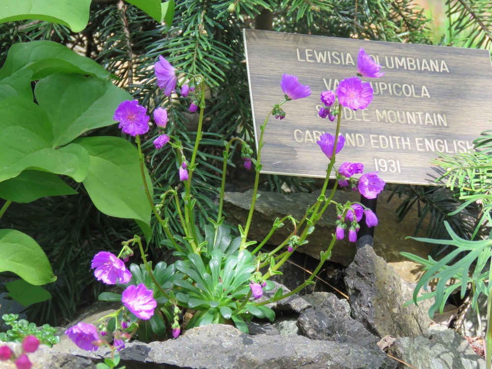 USACE Botanical Garden Earns ArbNet Level II Accreditation