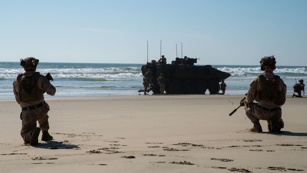 Alpha Co Conducts ACV Mission Walk-through at Camp Pendleton