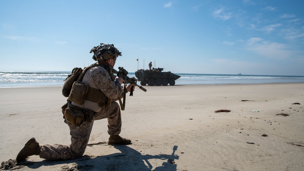 Alpha Co Conducts ACV Mission Walk-through at Camp Pendleton