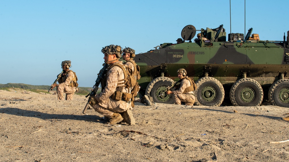 Alpha Co Conducts ACV Mission Walk-through at Camp Pendleton