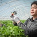 Humphreys members experience KDrama, strawberries
