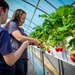 Humphreys members experience KDrama, strawberries