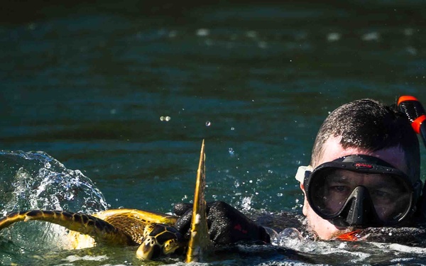 NMFS and NAVFAC Hawaii Complete Telemetry Tagging