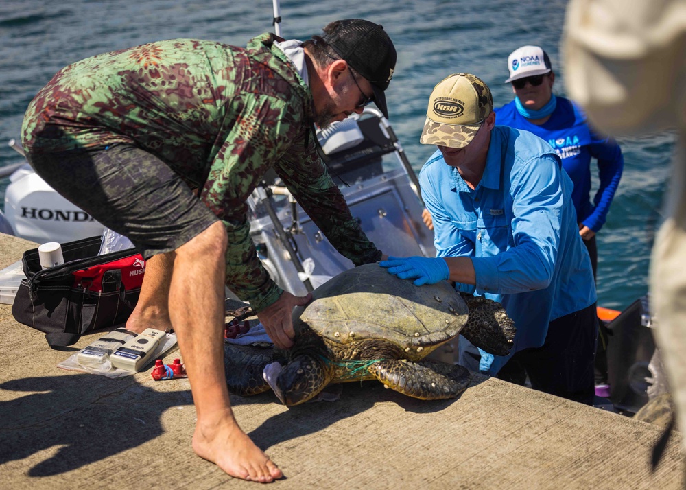 NMFS and NAVFAC Hawaii Complete Telemetry Tagging