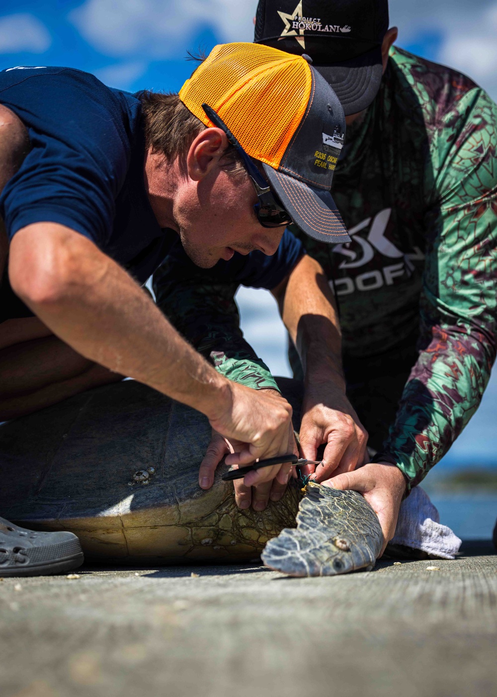 NMFS and NAVFAC Hawaii Complete Telemetry Tagging