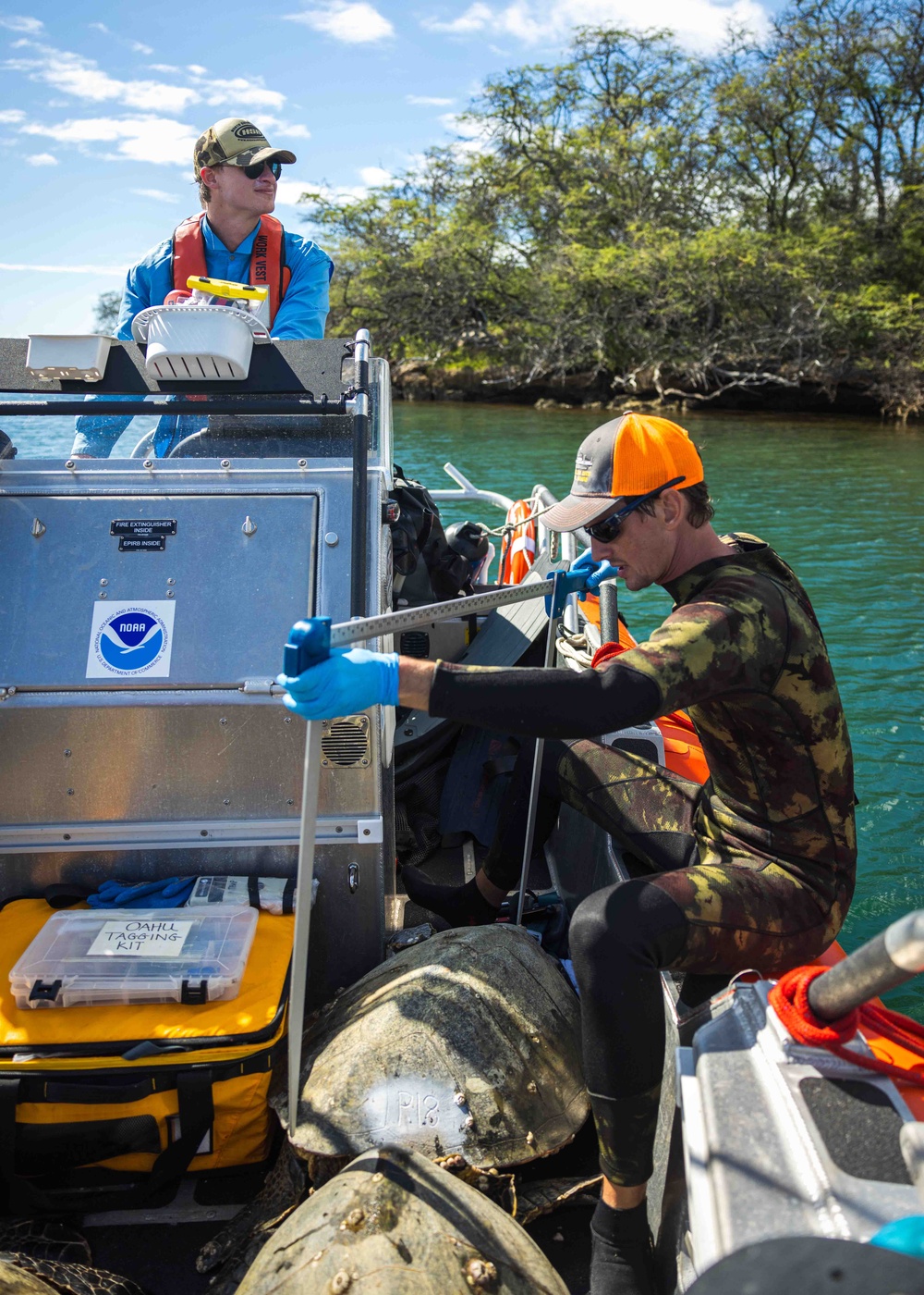 NMFS and NAVFAC Hawaii Complete Telemetry Tagging