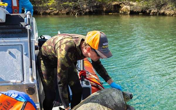 NMFS and NAVFAC Hawaii Complete Telemetry Tagging