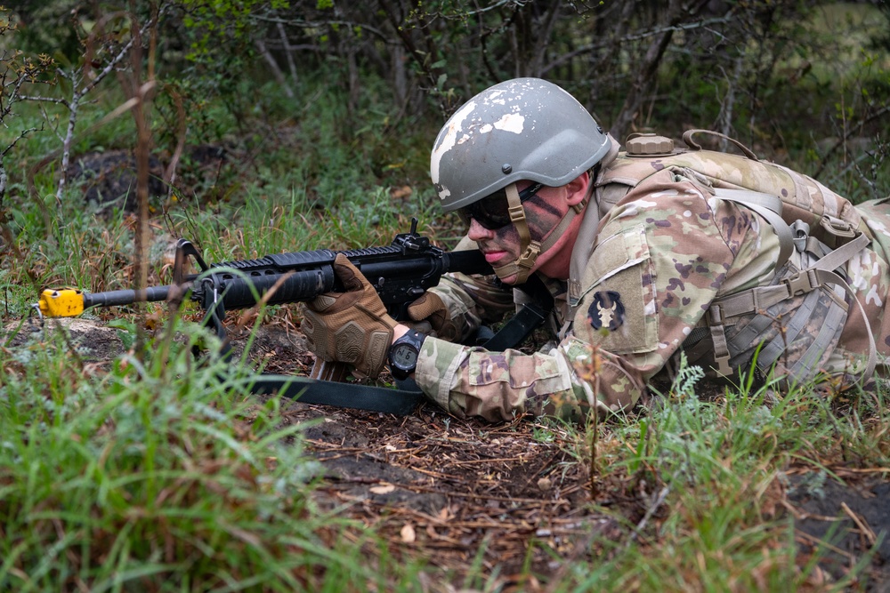 Combat Medic Field Training Exercise