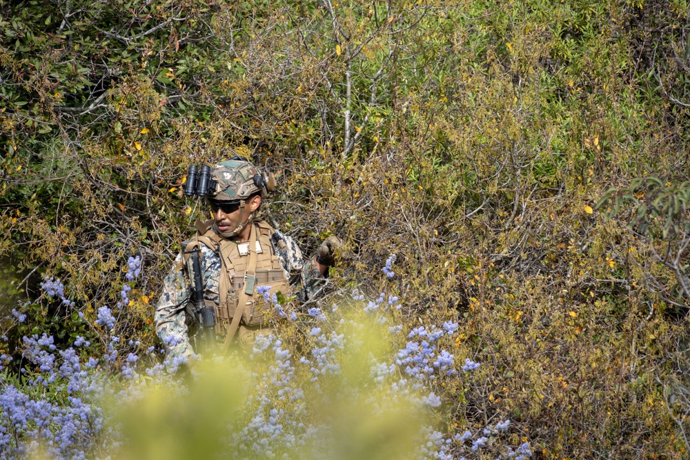 2nd Bn., 1st Marines competes in 1st MARDIV squad competition