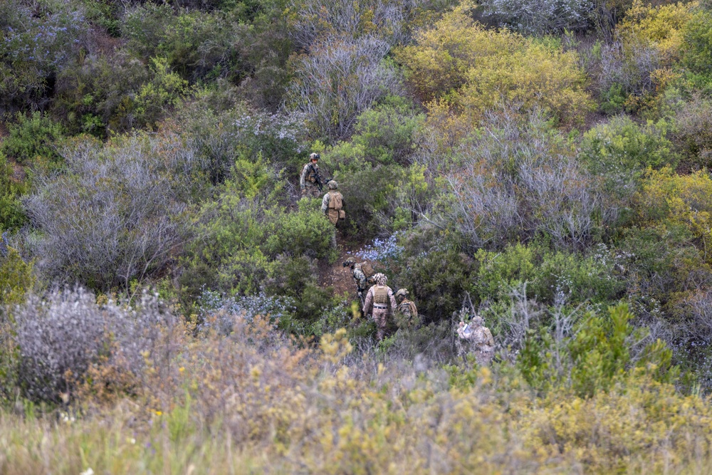 2nd Bn., 1st Marines competes in 1st MARDIV squad competition