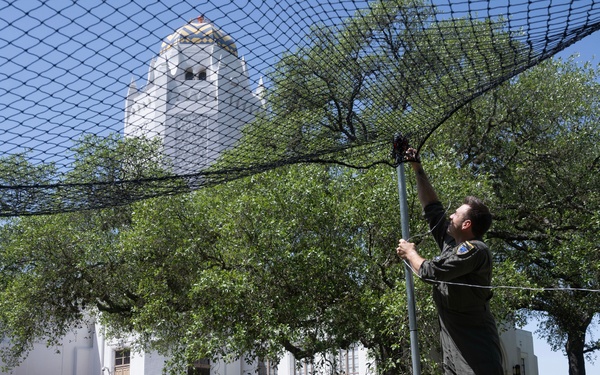 Bird Strike Mitigation With Drop Net