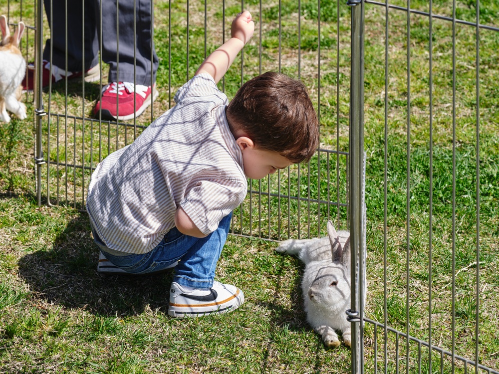 CFA Yokosuka MWR Hosts Egg'Stravaganza