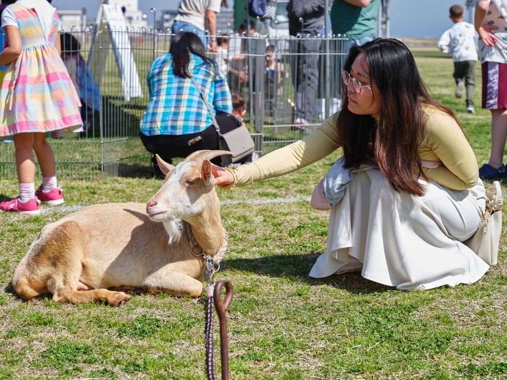 CFA Yokosuka MWR Hosts Egg'Stravaganza