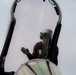 Theodore Roosevelt Flight Ops