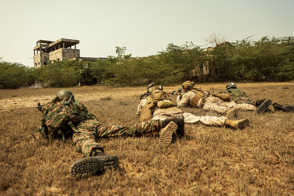 15th MEU Trains with Indian Army During Tiger TRIUMPH 24