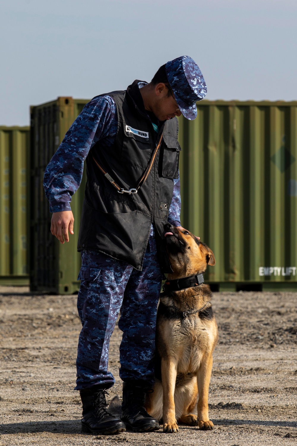 All Bite: U.S. Marines train Japan Maritime Self-Defense Force military working dogs to identify improvised explosive devices.